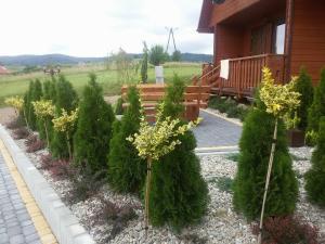 Domki Słoneczne Wzgórze