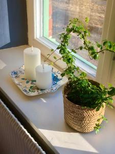 FärgLabbets Bed and Breakfast