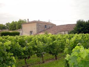 Maisons de vacances Chai Crann Piorra : photos des chambres