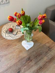 Kapitaenshaus-Lassen-Zimmer-Odysseus