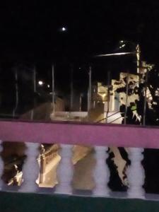 Nine Miles Cultural Hangouts and Tours