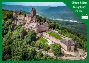 Appartements Aux Plaisirs d'Alsace Centre Historique : photos des chambres