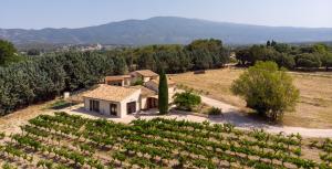 Villas Le Terme Roux - Mont Ventoux : photos des chambres