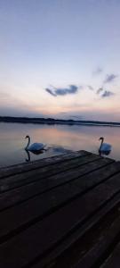 Domki Holenderskie Mazury Leleszki