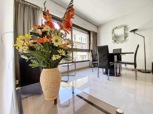 Gray dAlbion studio BON500