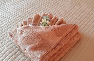 Hospeda Serra Gaúcha - Plazza Serrana