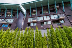 Harmony Apartment in Silver Mountain