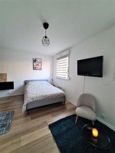 Appartements Studio confort calme centre de Reims Boulevard de la Paix : photos des chambres