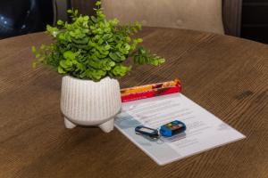 “Pop Inn” modern apartment in heart of Bryanston