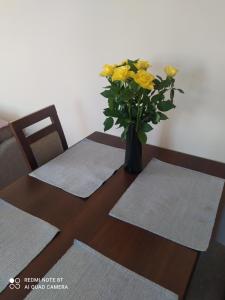 Apartament u Katarzyny