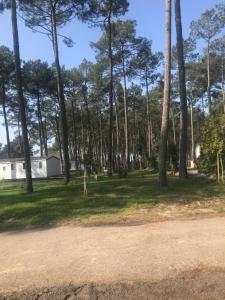 Campings Escape MobilHome aux Dunes de Contis : photos des chambres