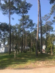 Campings Escape MobilHome aux Dunes de Contis : photos des chambres