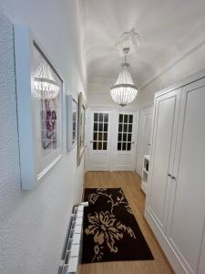 Amplio y céntrico piso con patio.