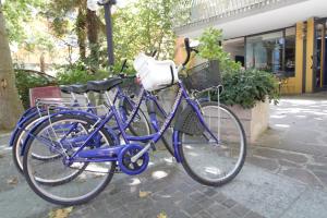 Hotel Condor