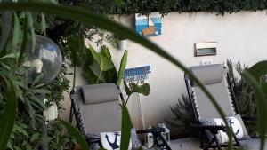 Studio with Garden View