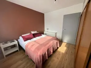 JM Homestay - A Cozy two bedroom apartment - 塞尔福斯