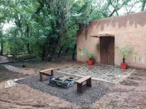 Vulture's View 7 - De Wildt