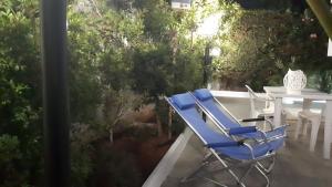 Studio with Garden View