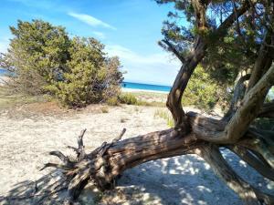 Caletta sul Mare img49