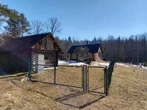 Forest House Near Vilnius - Liucionys