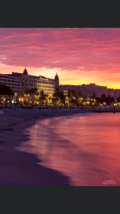 2 pièces cannes centre