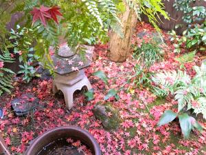 Guesthouse Kioto