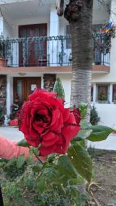 Double Room with Balcony room in Casa Adelina