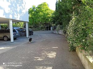 Apartement Annabelle