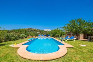 Ideal Property Mallorca - Mamici