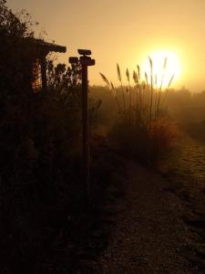 Campings Gites Les Casots : photos des chambres