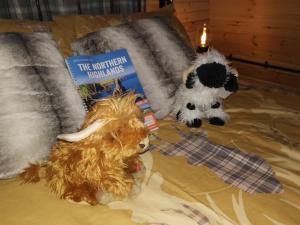 Achmeney Glamping larger than Average pod