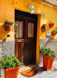 JP Central Home img20