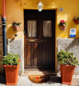 JP Central Home img19