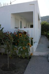 Studio Anthoula Kos Greece