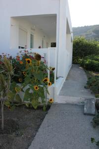 Studio Anthoula Kos Greece