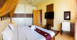 Brasov Penthouse Retreat