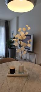 Nueva Córdoba - Premium