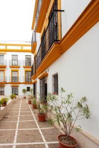 Elegant studio in the heart of Seville, 35 m², near monuments.