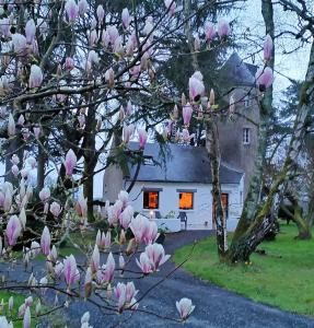 B&B / Chambres d'hotes Le moulin de La Retardiere : photos des chambres