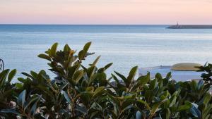 Kalibia rooms and suites