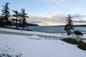 Three Eagles On Whidbey