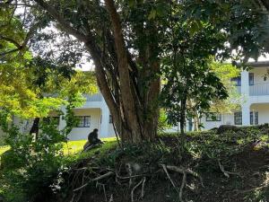 Apt 66 Eden Wilds Umtamvuna Getaway