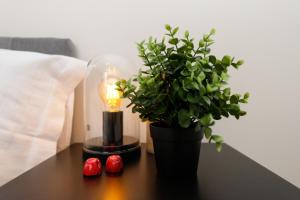 Apartman Elena