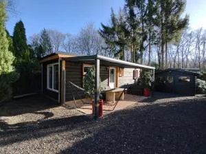 Chalet nummer 13 op Bospark Trimunt - De Wilp