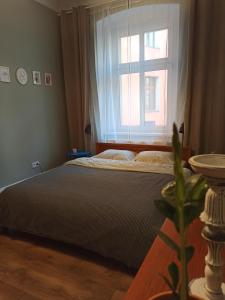 Apartament ROZETA centrum 6os