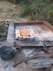 Campings Gites Les Casots : photos des chambres