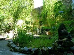 Appartements Le Jardin Antique : photos des chambres