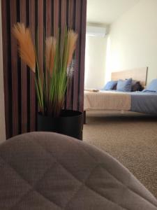 Stari Zaječar apartments