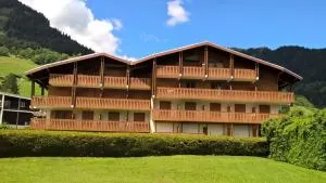 APPARTEMENT PRAZ VILLAGE - 阿尔利河畔普拉兹