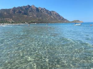 Il bacio del sole img15